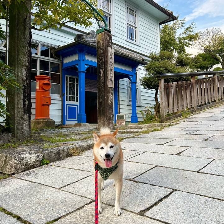 4a2a4600 be8d 4dc1 9f76 947650cded0f 1727354083574