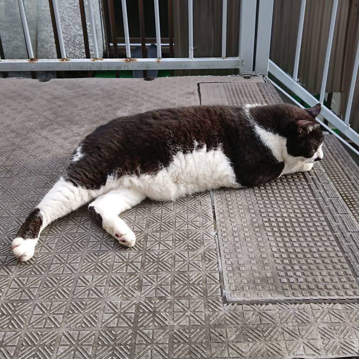 4a2a7a54 ed88 4d08 8c7b e1e3bad24e64 1629282321579