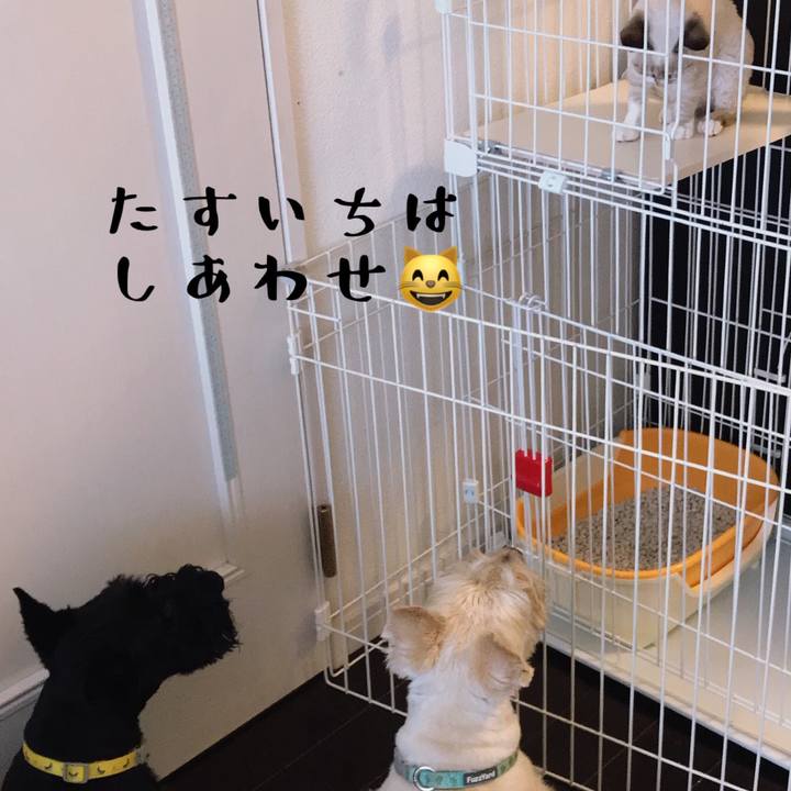 4a2aa31e 1879 4605 80df 9006bd31123d 1585991867454