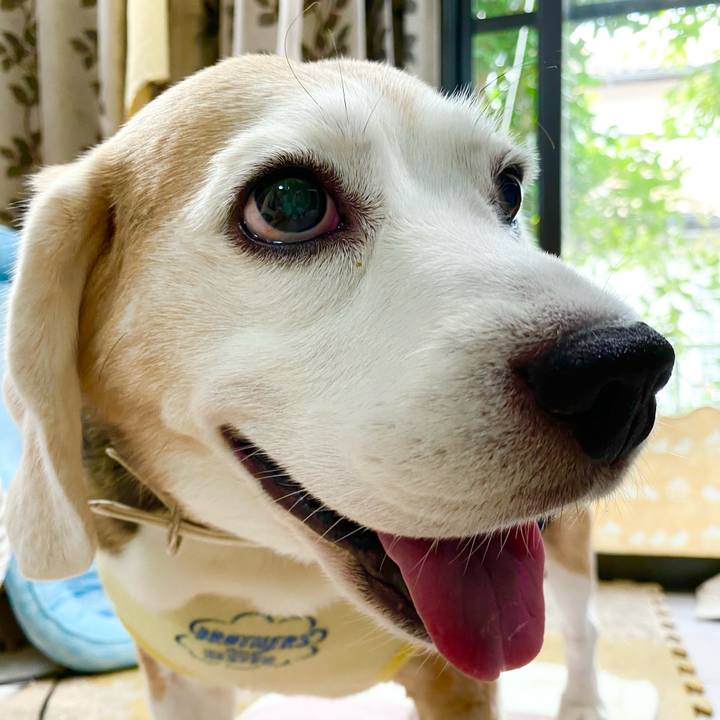 4a2ab23a f63f 49ed 8f66 a8cf2425f95a 1630641538879