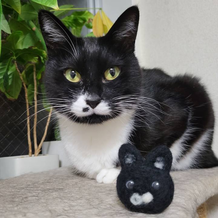 4a2ad3aa 098c 49ec bd4b 2bcbc77b8f56 1652800812347