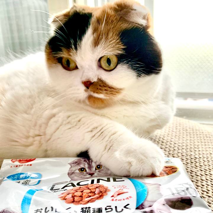 4a2adef6 855c 4d8b 8af9 814e109e60f6 1604032355731