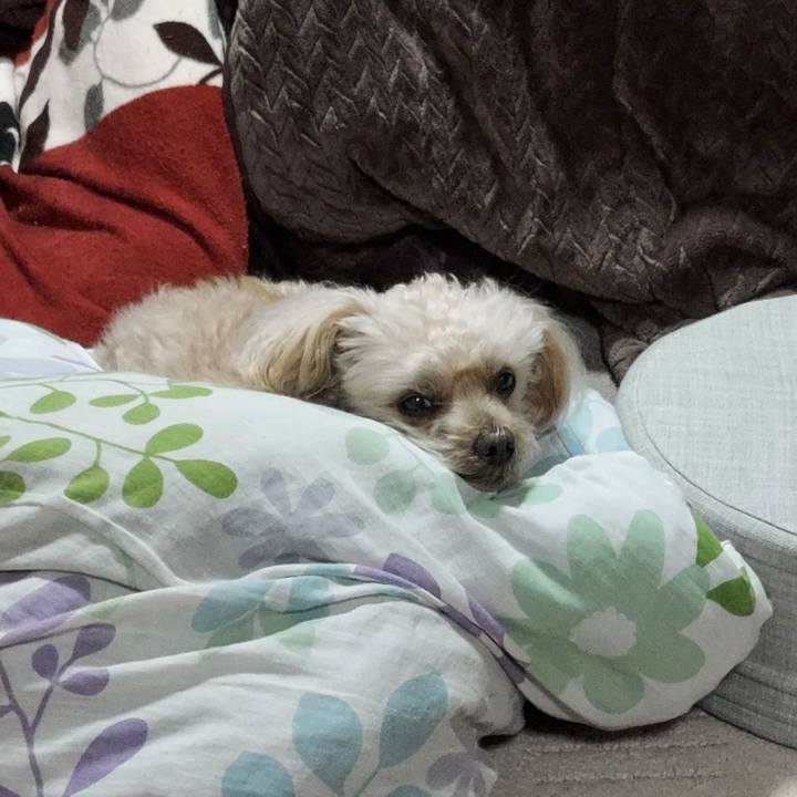 4a2af287 ee2b 4479 a72e 5e3530c284d4 1734984822253