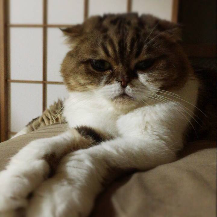 4a2b1571 85f2 47c6 a71f 8ab839c2336e 1507817050938