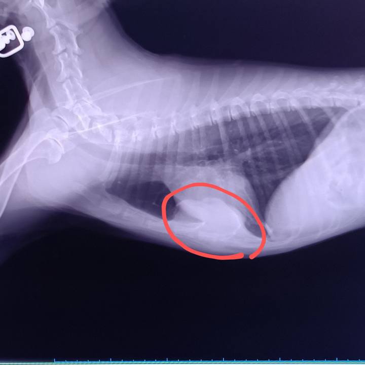 4a2b284b 637d 4884 acec ba3d627aac8b 1752818036026