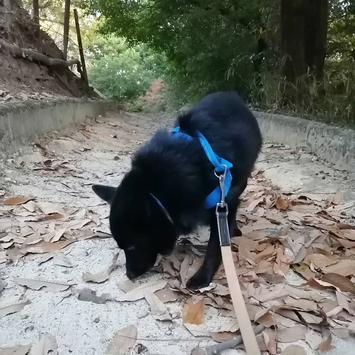 4a2b7cf3 c091 42ef 819f 89e823451d02 1606860497460