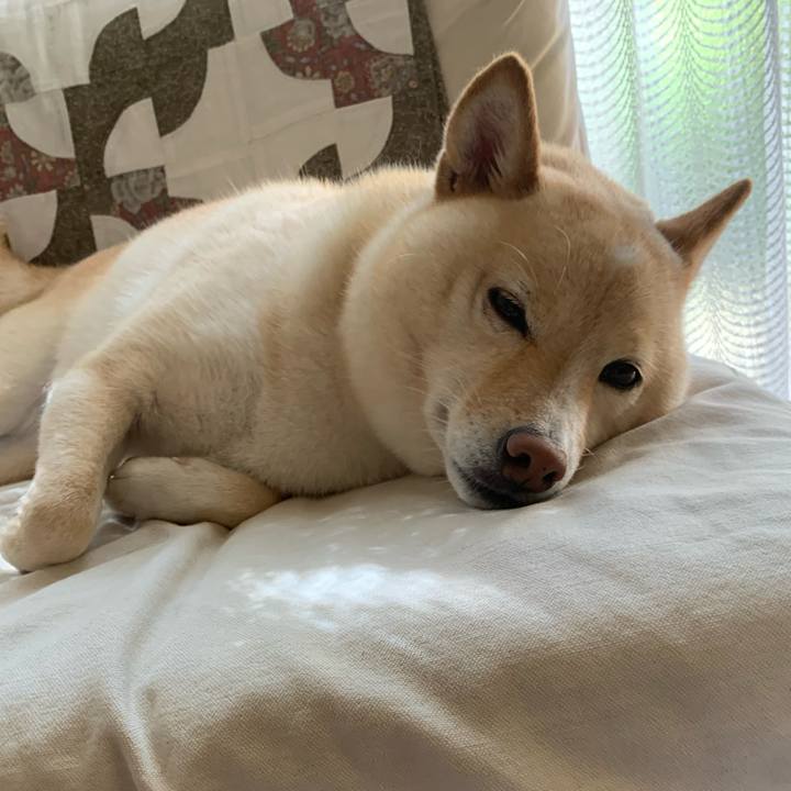 4a2b991d 08dc 4f6a 9904 53e7022a3ea0 1628548708841