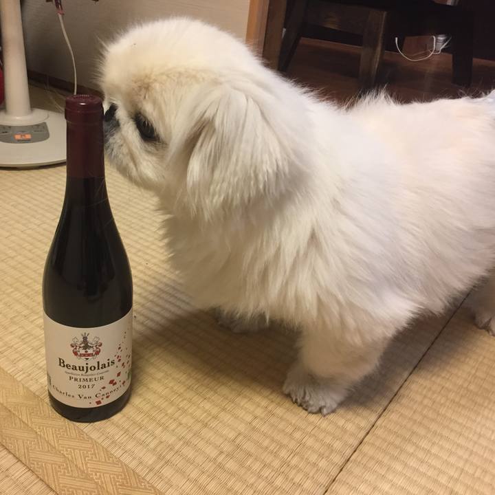 4a2b9f92 0fe1 42d1 a649 bf3e130f6989 1510834972946