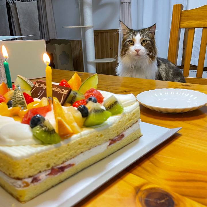 4a2bbba0 fd53 4e64 b774 f52e021a850d 1662546805139