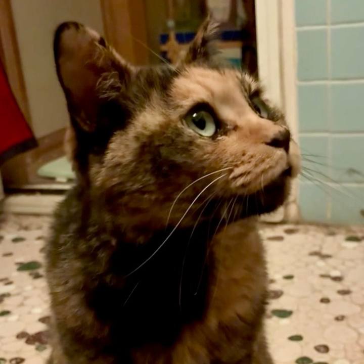 4a2bd96b 4c00 4fe7 a616 59267292fd7c 1759267168142