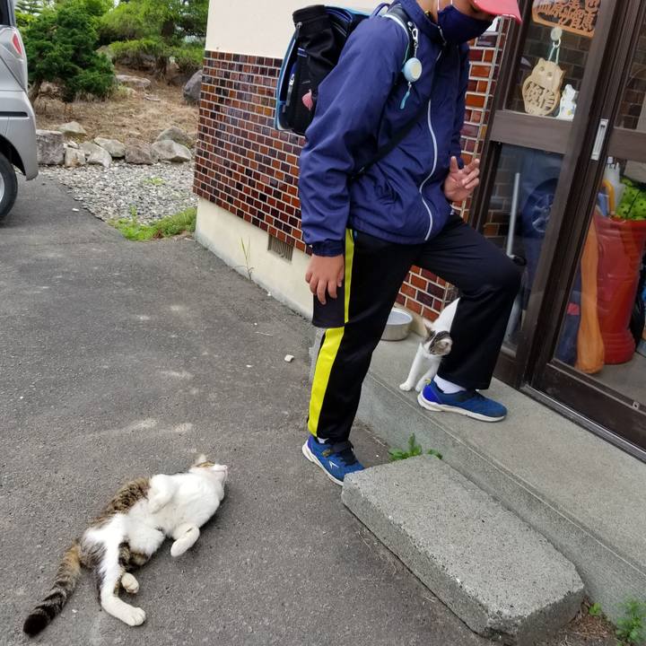 4a2be5cd c2df 4c02 bd67 c4ebdb95b4e9 1596027680051