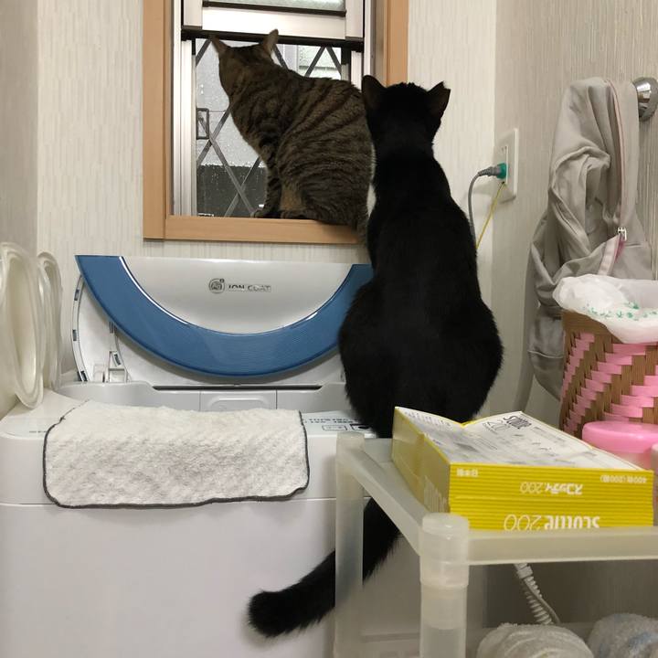 4a2be91b 947b 4515 9bdf 3bc0229511f3 1536077388501