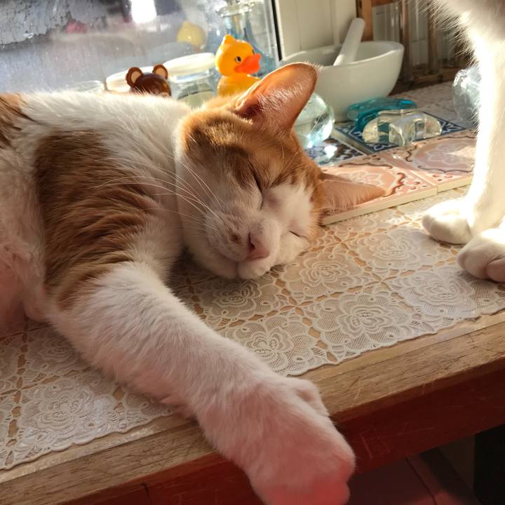 4a2bec99 4eb4 44a5 a124 6baac54f961b 1521585615443