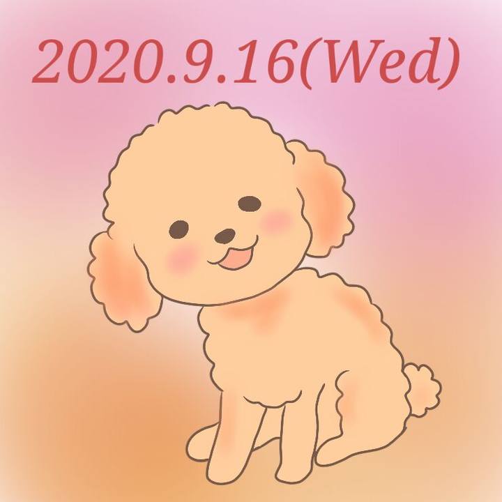 4a2bf413 dedd 493b a1ad 4499de9e4f5f 1600256002857