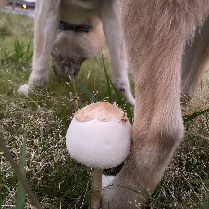 4a2c292c 1ea8 4ef1 ac25 8c137816692b 1719405110655