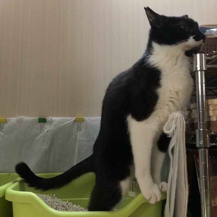 4a2c3f37 5797 4c9f 985c 08202d2f6ca5 1556326424984