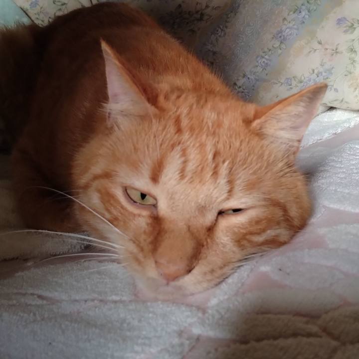 4a2c6149 6f51 4218 af13 546ea8939ba3 1723154944935