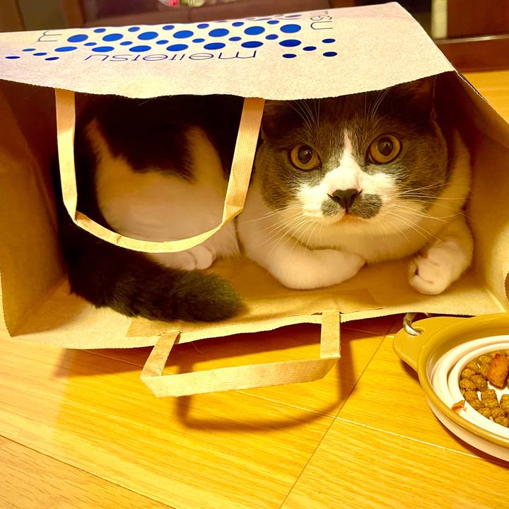 4a2c7ec7 5f98 4847 a594 d6683ae1f004 1626175455619