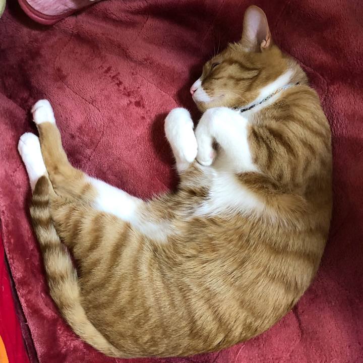 4a2c8cfd 40ba 489c 8eb2 03fc09779689 1579090936781