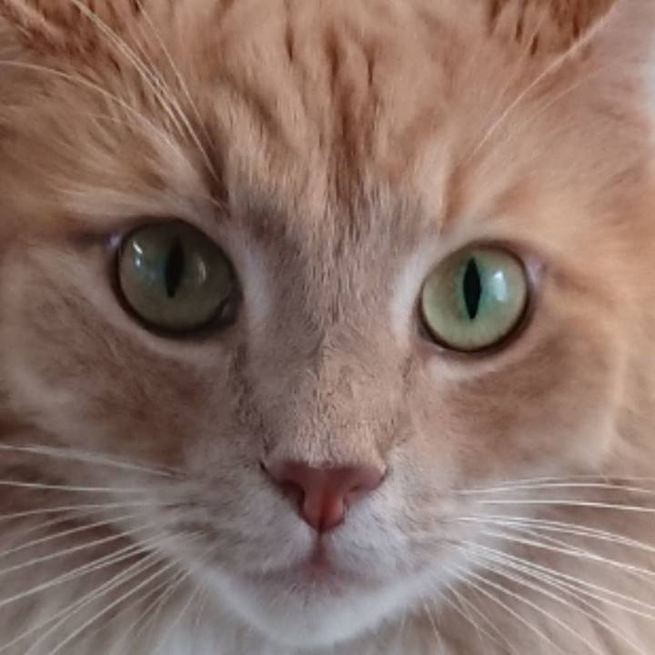 4a2c9d33 0aac 4a20 8672 4d4586472de6 1535155836969