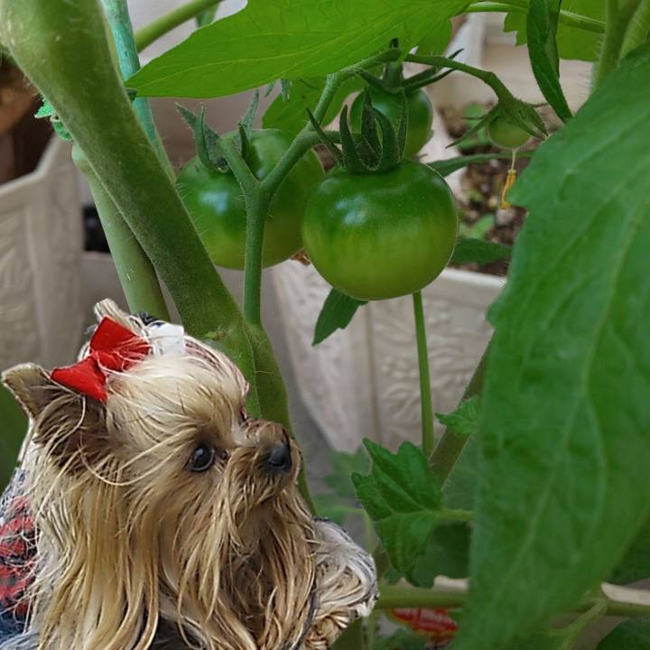 4a2cb8bd bfb7 4636 8a56 5a1f4bf8fb07 1653367381237