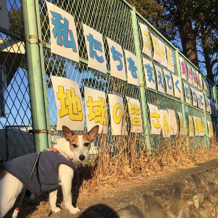 4a2cdd90 2492 48ca 814b 896e9d3b2660 1610150548152