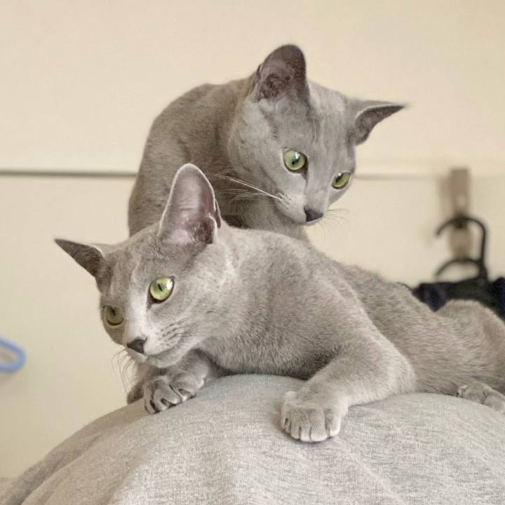 4a2d0c78 90ad 4902 98cd 0e5af9f529e0 1616207912037