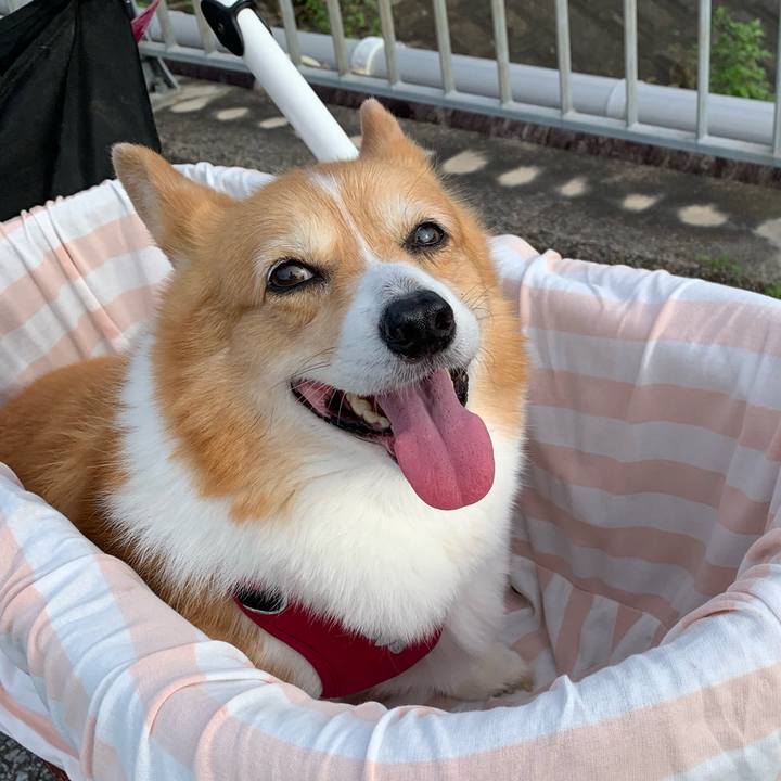 4a2d1ec5 9116 4631 9fcb 705b9da76dcb 1722121720797