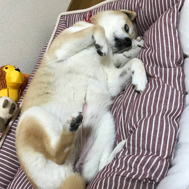 4a2d40be 074a 47dc 86a3 069201346caa 1524394244342