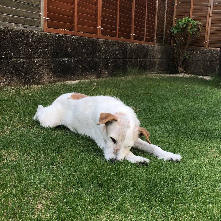 4a2d9a72 2d74 4db5 9781 83fd000a9a92 1603953630220