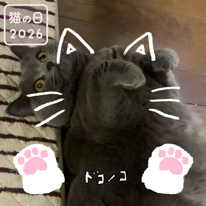 4a2dc9a9 36ed 432b 99a8 b8a0962df4c2 1771768083377