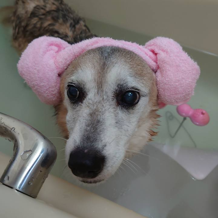 4a2e4a33 539b 4873 a6d3 ac3b5d692e94 1745976822705