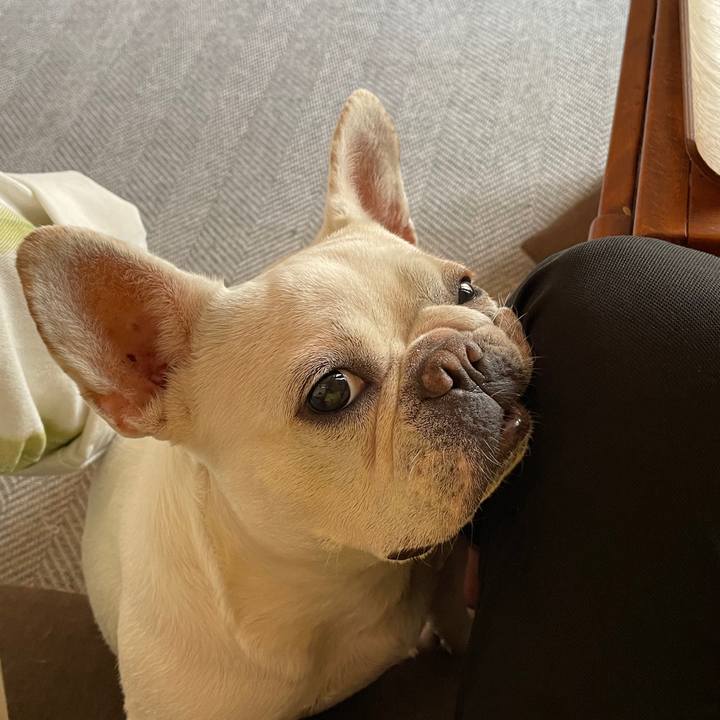 4a2e57ac 4fbc 41bf 8f29 74ff3a63ffe6 1723761173495