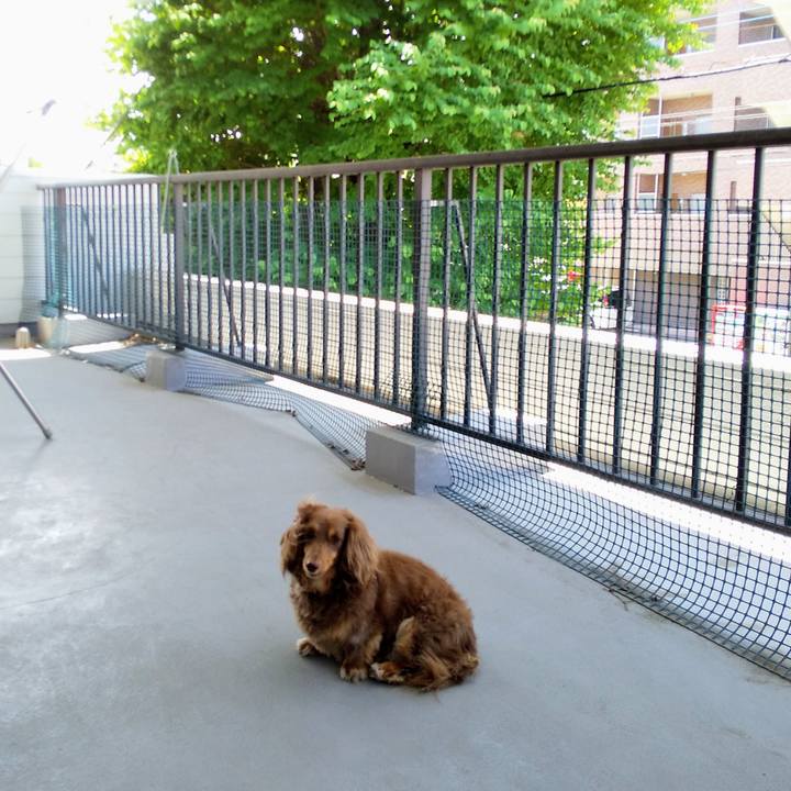 4a2ec624 ac9d 46cb b1c3 af76316bd64c 1592184149914