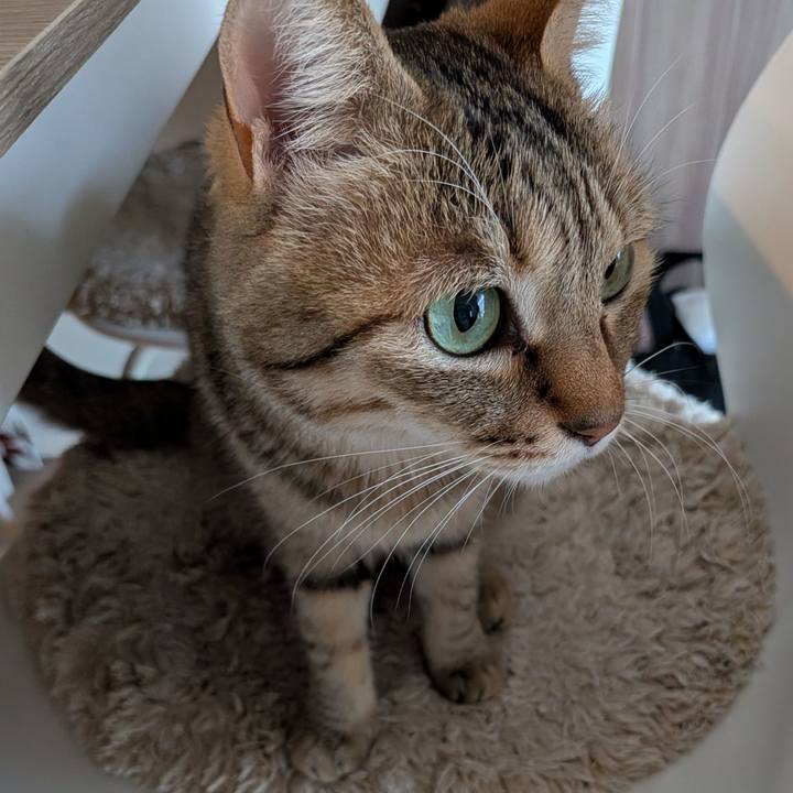 4a2edf71 5fa8 4228 8bfa a7798a0f99b6 1770067610223