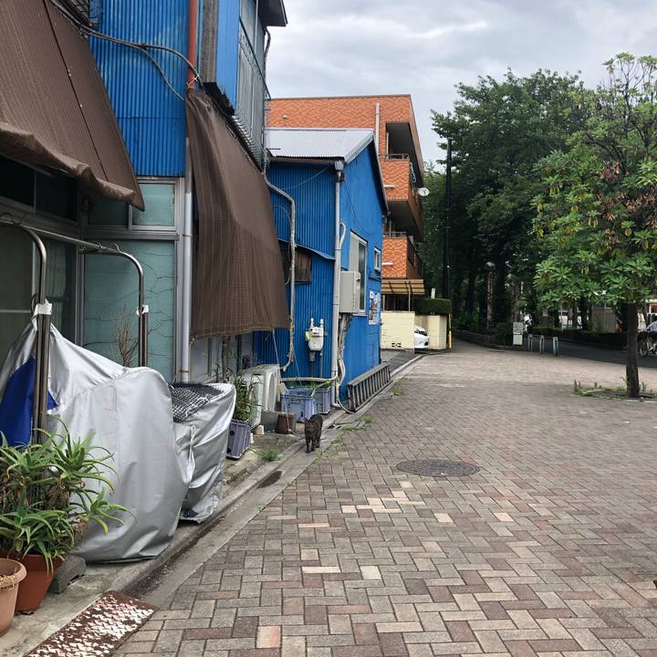 4a2ee4ea bc0a 4d80 8e8a 1cf263acd6da 1561727417552