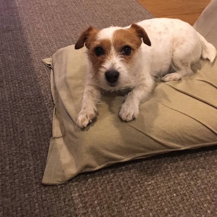 4a2f0f5c 31aa 4ba4 aa89 f310927e43f5 1556974930112