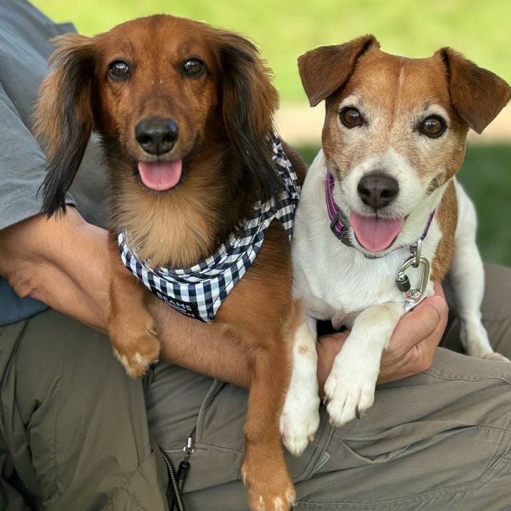 4a2f497b 8b8c 4a63 b21d 64cd1d0a5205 1759210599787