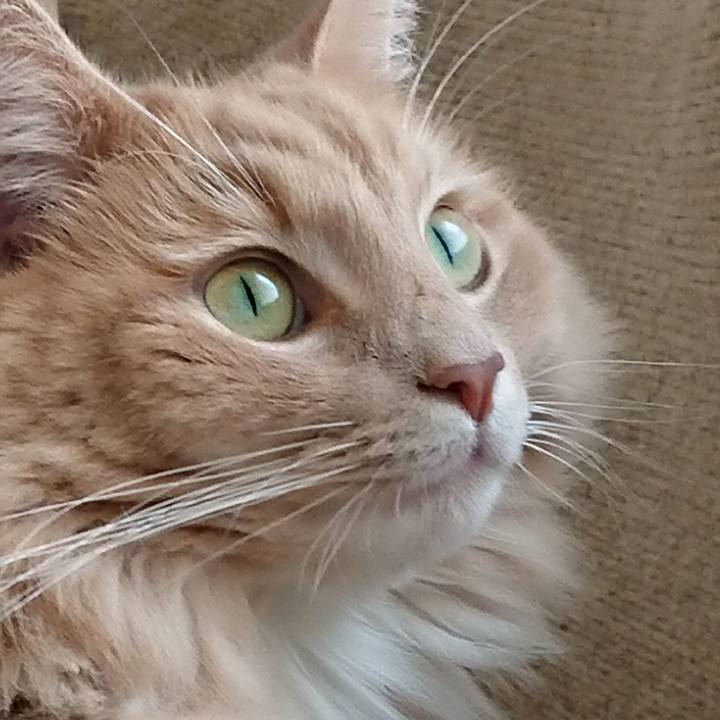 4a2f6b45 6f08 4a60 92be 7a19460f205d 1536551766554