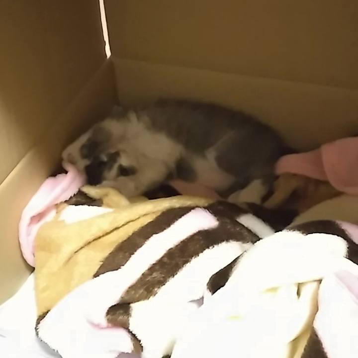 4a2f727d f18c 437a b769 50776ac26b84 1558305911528