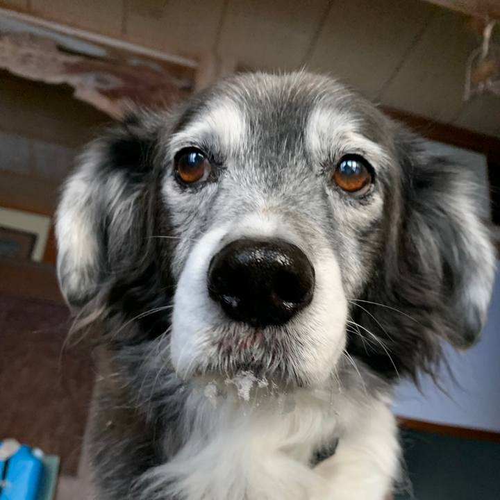 4a2fc576 3ceb 4654 9288 0789f235345c 1610186749601