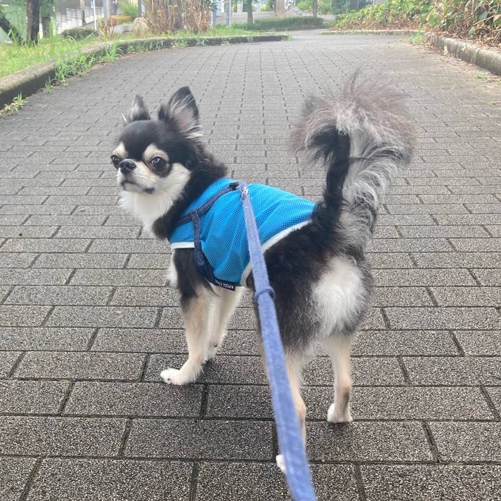 4a2fdcc9 d6e2 4b66 9a55 29d31299dbac 1691936996887