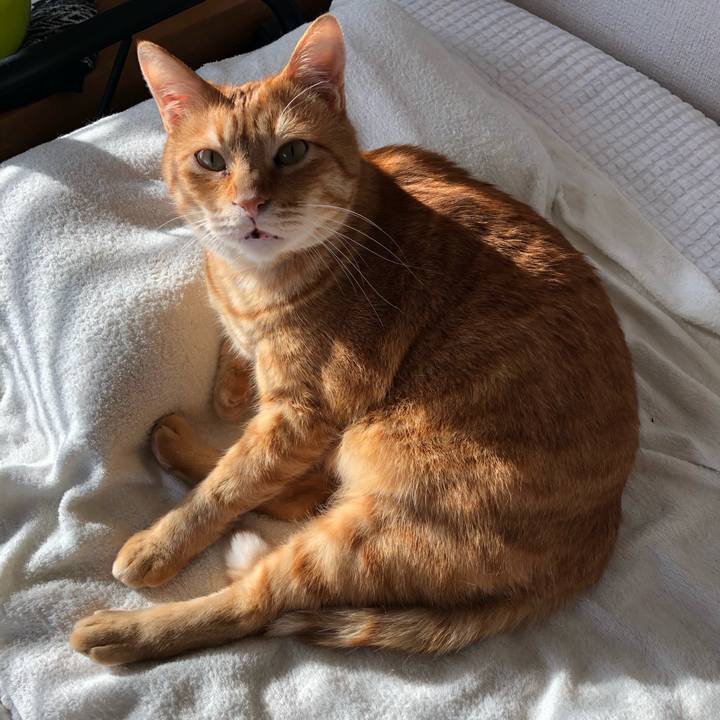 4a302351 42df 45d8 aaf4 d5bccd67339f 1591132959727