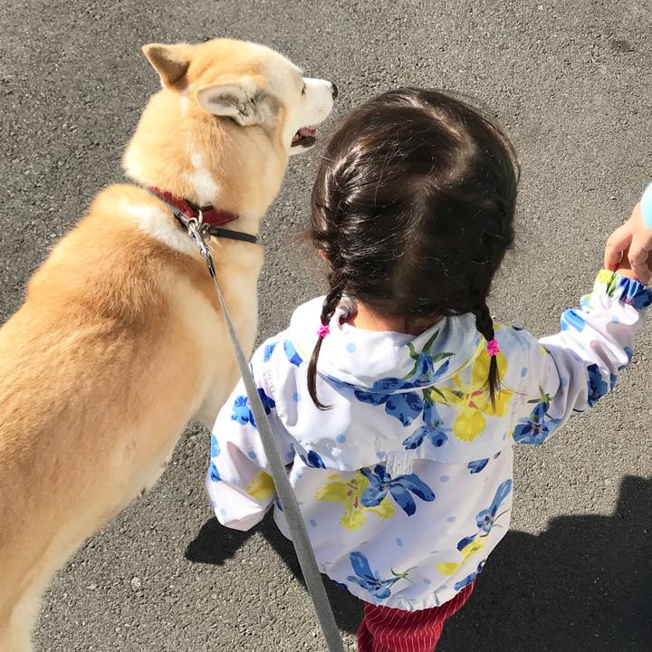 4a30713c f373 40d8 a79c 10f20debbedb 1538093695946