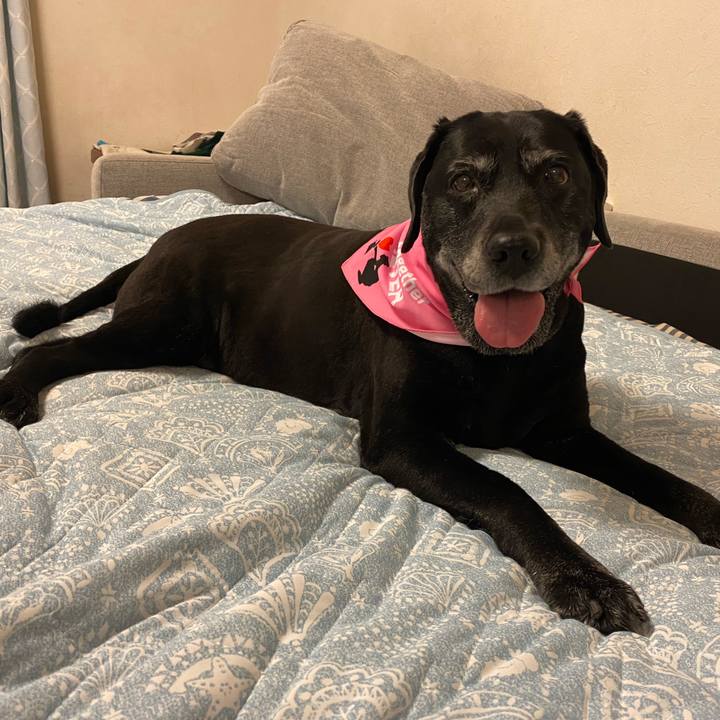 4a307dfb 46f8 49cf 9afc d20054d679f3 1624100923068