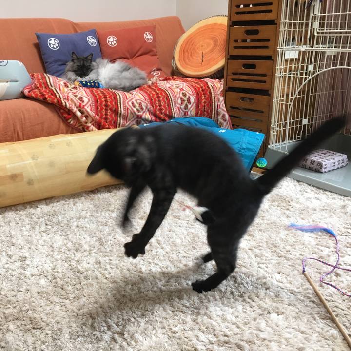 4a30b3c2 b0d9 4a1c aa90 5c12b0e5f038 1549685754194