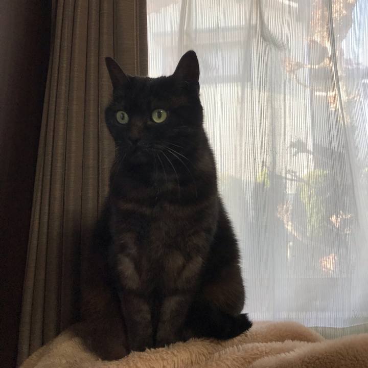 4a30fc31 dc1d 49c6 8a03 46cf6521eb77 1547172203580