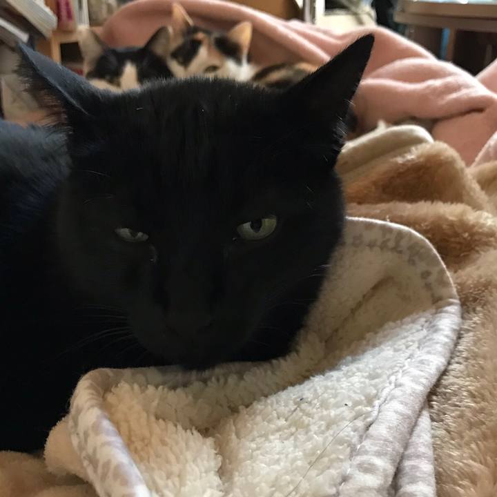 4a31593a 4c19 40a5 9cde 34a045a669d7 1514769444259