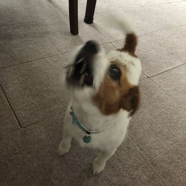 4a31607a 2b7b 4b5a bbb6 0c3e0d3f6277 1562486105435