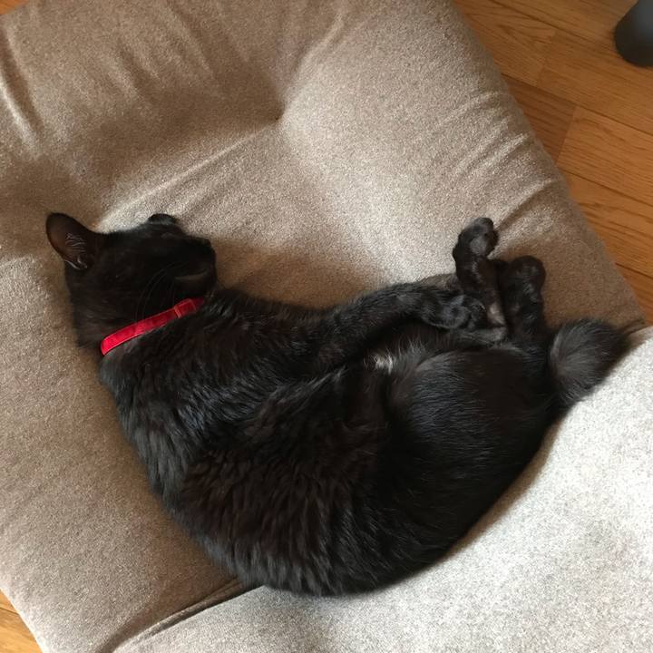 4a3161cf 0f3e 4d65 9ab3 171947de8572 1564124263745